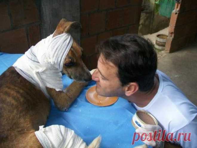 Спасение истощённой бродячей собаки, находящейся на волосок от смерти