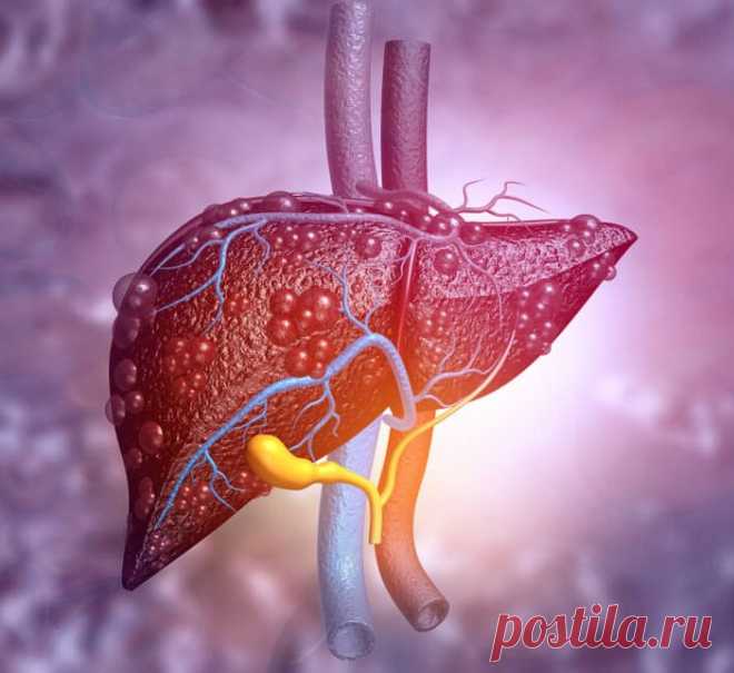 Как определить, что ваша печень нездорова / Будьте здоровы