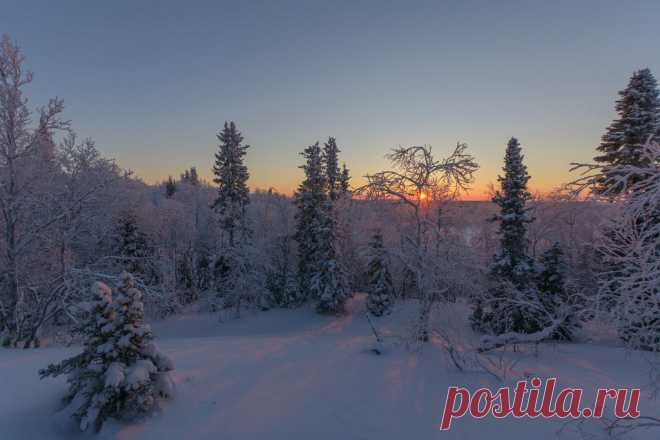 ФОТОМАСТЕРСКАЯ ПРИРОДЫ
Олег Кулябин