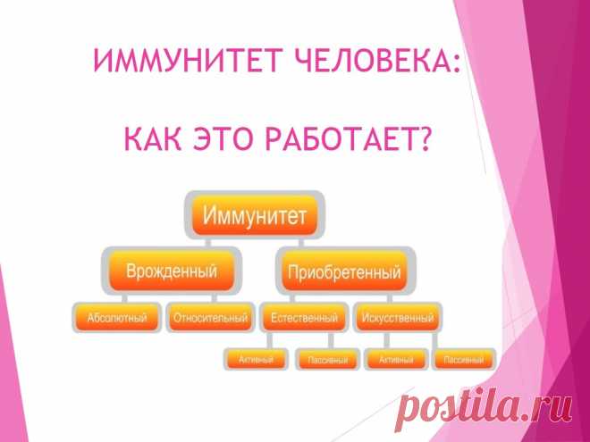 ИММУНИТЕТ ЧЕЛОВЕКА: КАК ЭТО РАБОТАЕТ