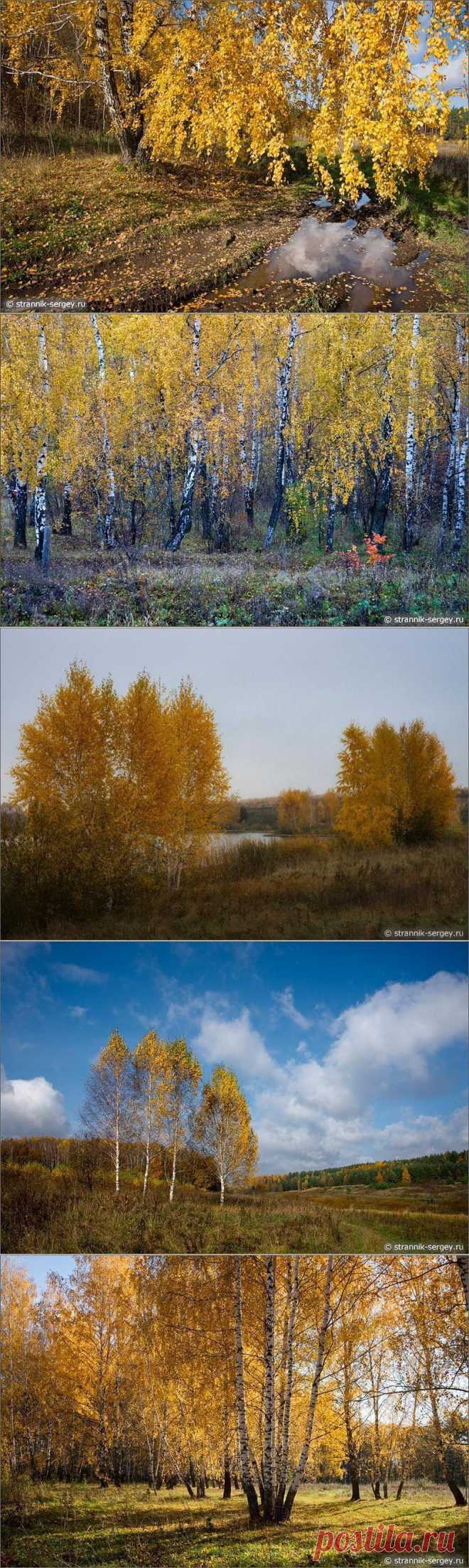 Древние пейзажи России