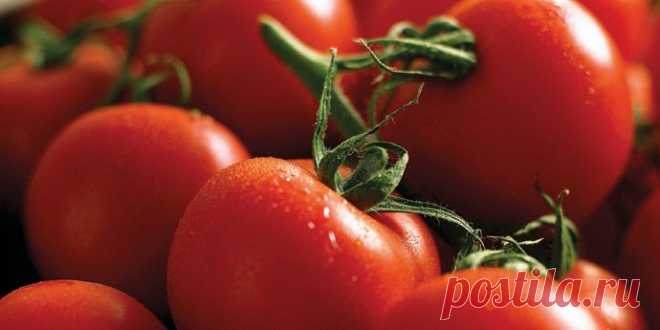 Комплексная защита томатов | DuPont ™ - Россия | DuPont Россия