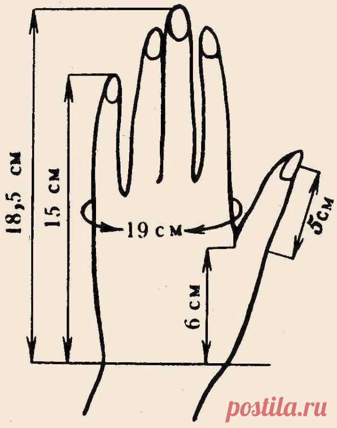Размеры варежек и перчаток для детей, женщин и мужчин: таблица. Как рассчитать размер варежки для вязания спицами?