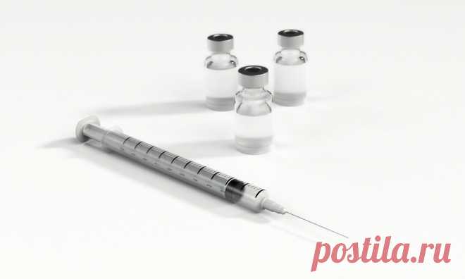 Многим делали прививки только в школе. Какие вакцины нужны взрослым - ПолонСил.ру - социальная сеть здоровья - медиаплатформа МирТесен