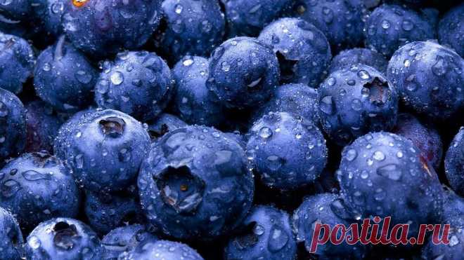 blueberries-wallpaper-1366x768.jpg (1366×768)