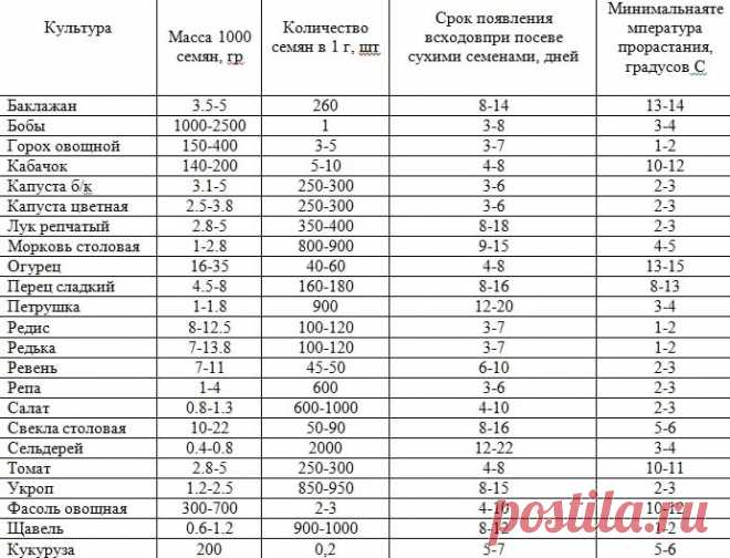 сколько лет сохраняют всхожесть семена клеомы: 10 тыс изображений найдено в Яндекс.Картинках