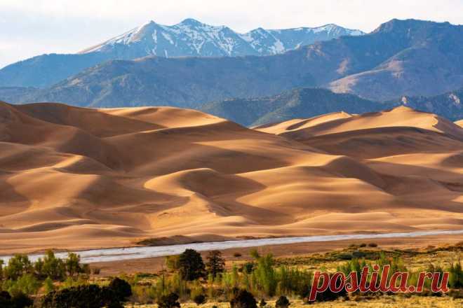18 удивительных фактов о песчаной дюне | Город Фактов