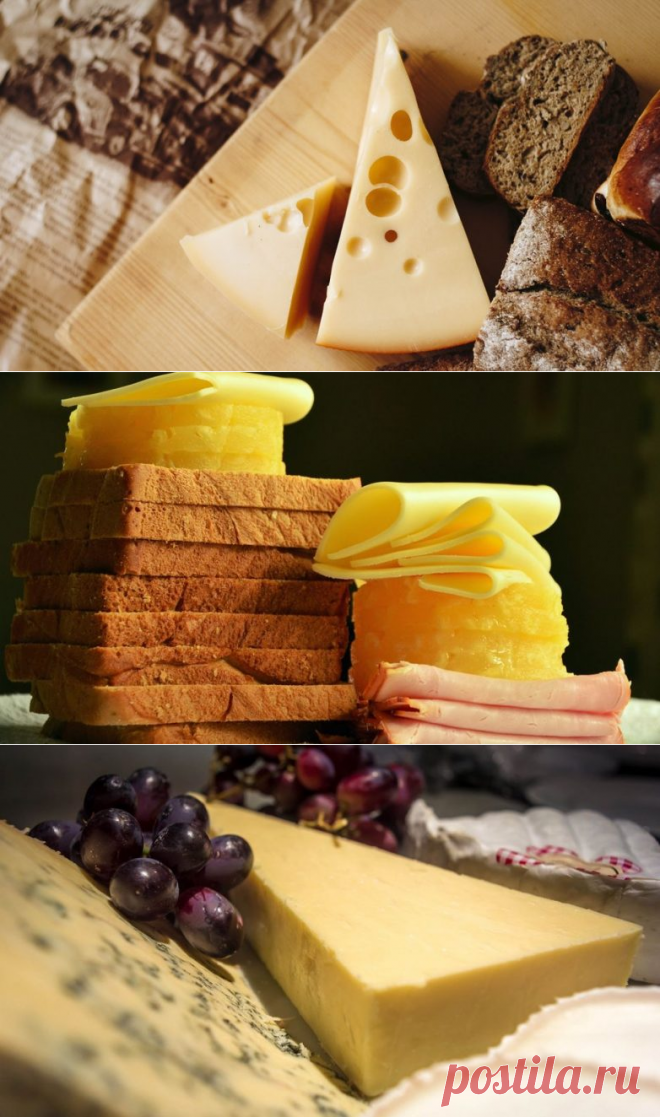 Полезные факты о сыре / Будьте здоровы