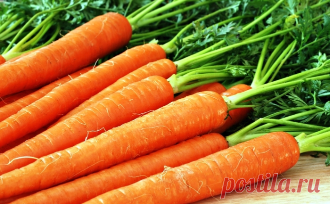 Чем подкормить морковь для хорошего роста