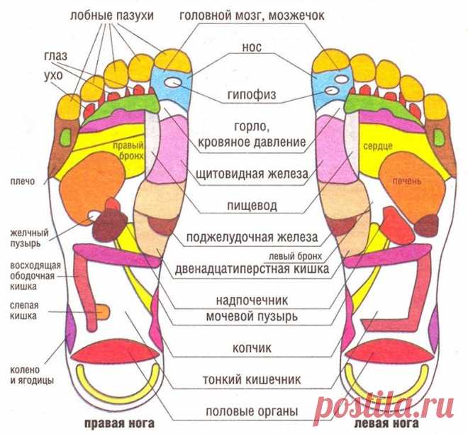 ПРОСТОЙ МЕТОД РЕФЛЕКТОРОГО МАССАЖА, ПОМОЖЕТ ОТКАЗАТЬСЯ ОТ КУРЕНИЯ! 
Рефлекторный массаж стоп поможет отказаться от курения Известно, что на ладонях, ступнях, ушных раковинах человека располагается бесчисленное множество рефлекторных точек, при надавливании на которые…