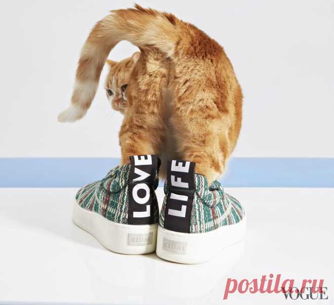 Vogue Mixes Footwear and Felines in One of Our Favorite Shoots Ever