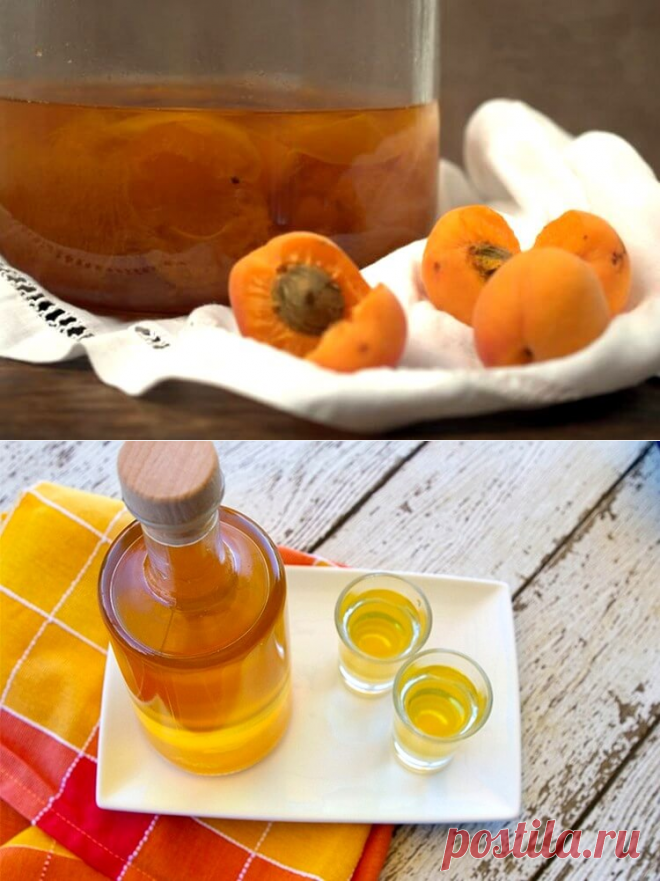 Рецепты абрикосовых наливок и настойки на абрикосах - 6 штук