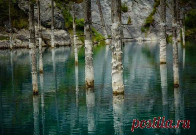 (+1) - Удивительный затонувший лес: озеро Каинды | УДИВИТЕЛЬНОЕ