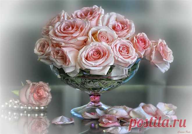 красивые букеты цветов натюрморты фотографии - 3 334 картинки. Поиск@Mail.Ru