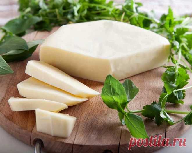 Рецепт сыра сулугуни: пошаговая технология вкусного домашнего продукта с фото и видео