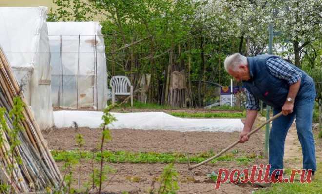 30 дел, которые надо сделать в саду, огороде и цветнике в мае | Новости (Огород.ru)