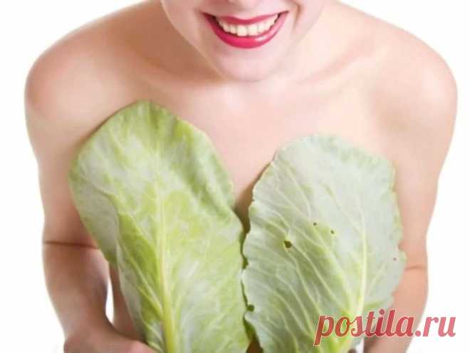 Как прикладывать капустный лист при мастопатии?