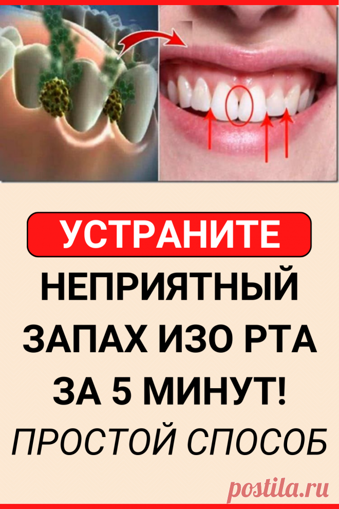 Устраните неприятный запах изо рта за 5 минут! Это средство уничтожит все бактерии, которые вызывают неприятный запах изо рта
#здоровье #гигиена #советы #полезные_советы #жизненные_советы