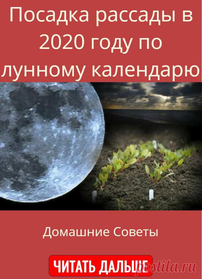 Посадка рассады в 2020 году по лунному календарю