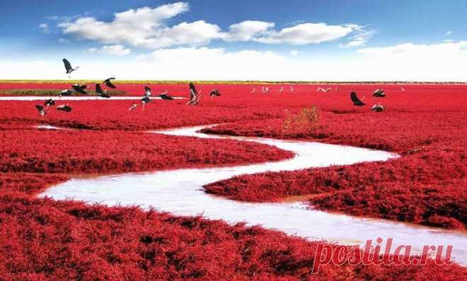 Самые яркие и красочные пейзажи на земле — Наука и жизнь