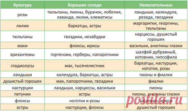 Всего два простых правила идеального цветника