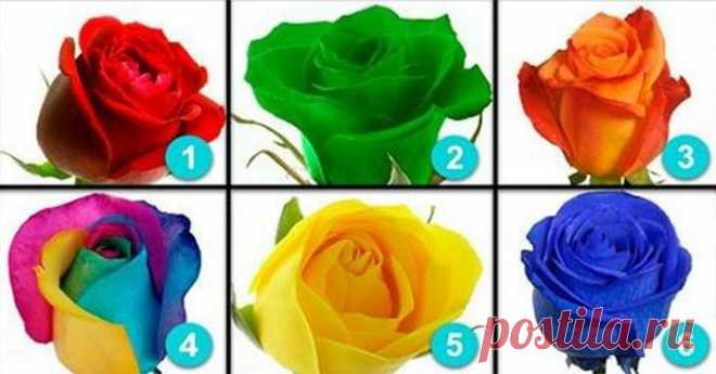 Тест: Выберите одну из шести роз - Образованная Сова