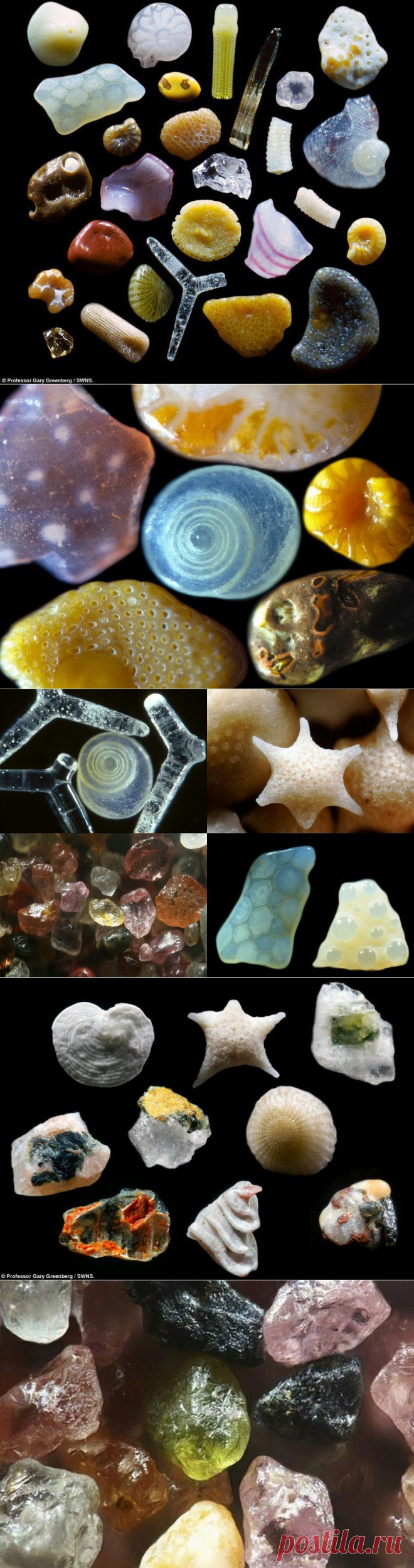 Песок под микроскопом : НОВОСТИ В ФОТОГРАФИЯХ