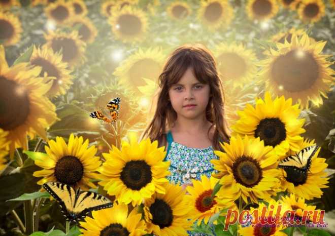 Постановочный коллаж Подсолнухи» портрет, авторские шаблоны,детские коллажи, детские PSD фотошаблоны, psd шаблоны, коллажи, школьные psd коллажи, для детского сада, дизайн, купить, календари » Детские PSD фотошаблоны, выпускные фотокниги, школьные фотоальбомы, для детского сада, psd шаблоны, для фотокниг, новогодние, коллажи, школьный psd, новый год, фотокнига, макет, купить, дизайн, календари ana1979