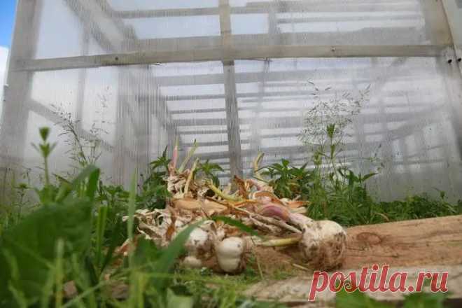 Чтобы весна не преподнесла сюрпризов: 10 запретов для дачника в конце октября. Вот список того, чего не стоит делать на даче в конце октября — чтобы не испортить участок, не навредить растениям и не создать лишних проблем.