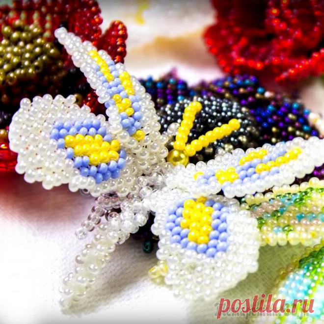 Поделки для начинающих — самые простые и красивые идеи от мастеров Приобщиться к творческому процессу рукоделия достаточно просто, для этого не обязательно обладать навыками работы с разными материалами.
Простые техники помогут сделать из бумаги и ткани, ниток или пр...