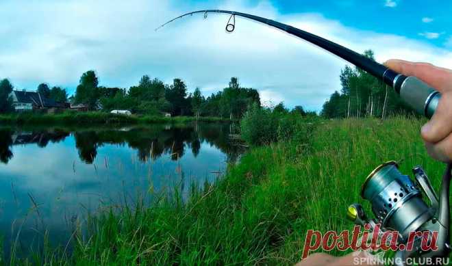 Ловля на спиннинг с берега щуки: что нужно знать? Ловля с берега на спиннинг: особенности, перспективные щучьи места, лучшее время для рыбалки. Какие снасти, приманки выбрать для ловли щуки с берега на спиннинг