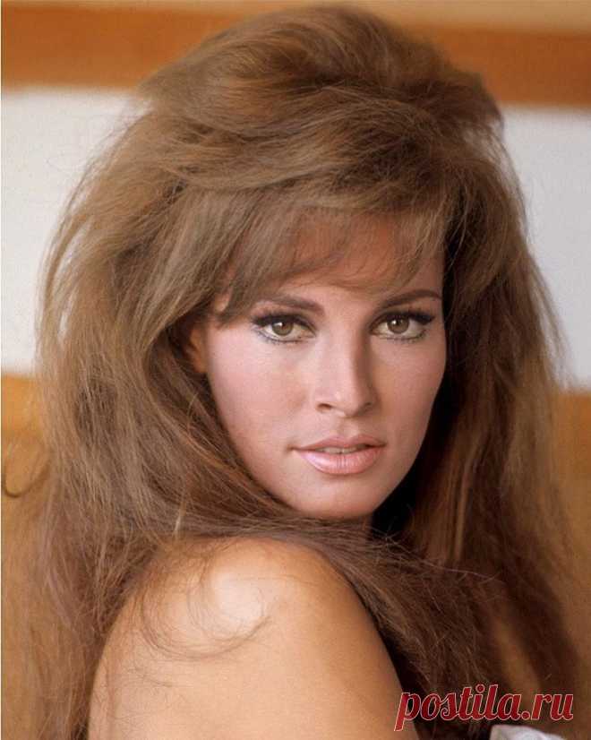 Рэкел Уэлч, 5 сентября, 1940
• 15 февраля 2023