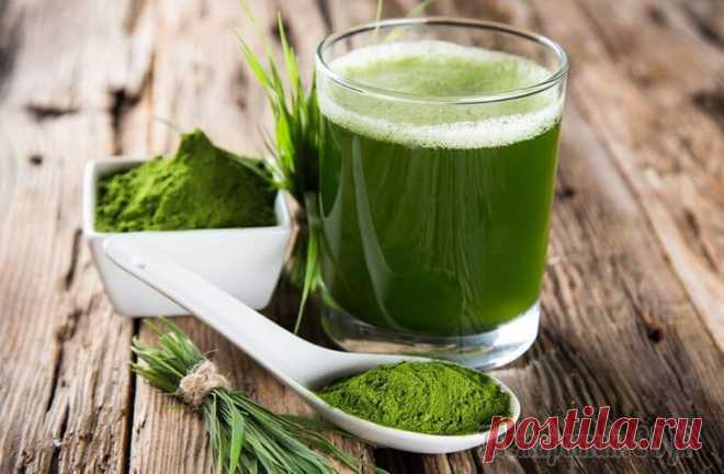 Спирулина: роскошный продукт для здоровья и возможная панацея при нарушениях питания Спирулина – это вид сине-зеленых водорослей, который является невероятным супер-продуктом, обеспечивающим концентрированный источник белка, витаминов, антиоксидантов и других питательных веществ. Это ...