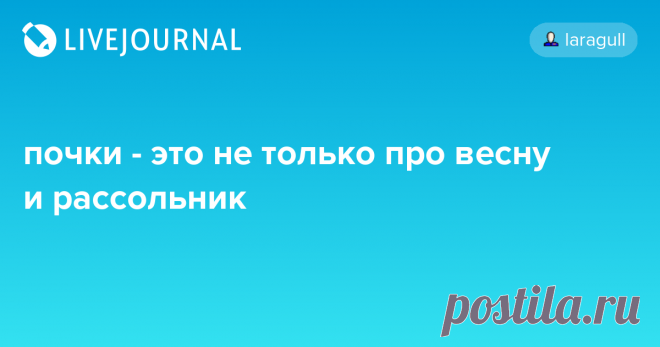 почки - это не только про весну и рассольник пока не забыла: подбирала себе для спокойствия магний по цене, и очень удачно заметила примечание к одному из бесчисленных магниев на айхербе: "Обнаружено, что магний и лимонная кислота снижают усвоение оксалата и фосфата кальция, содержащихся в моче, тем самым поддерживая здоровье почек.…