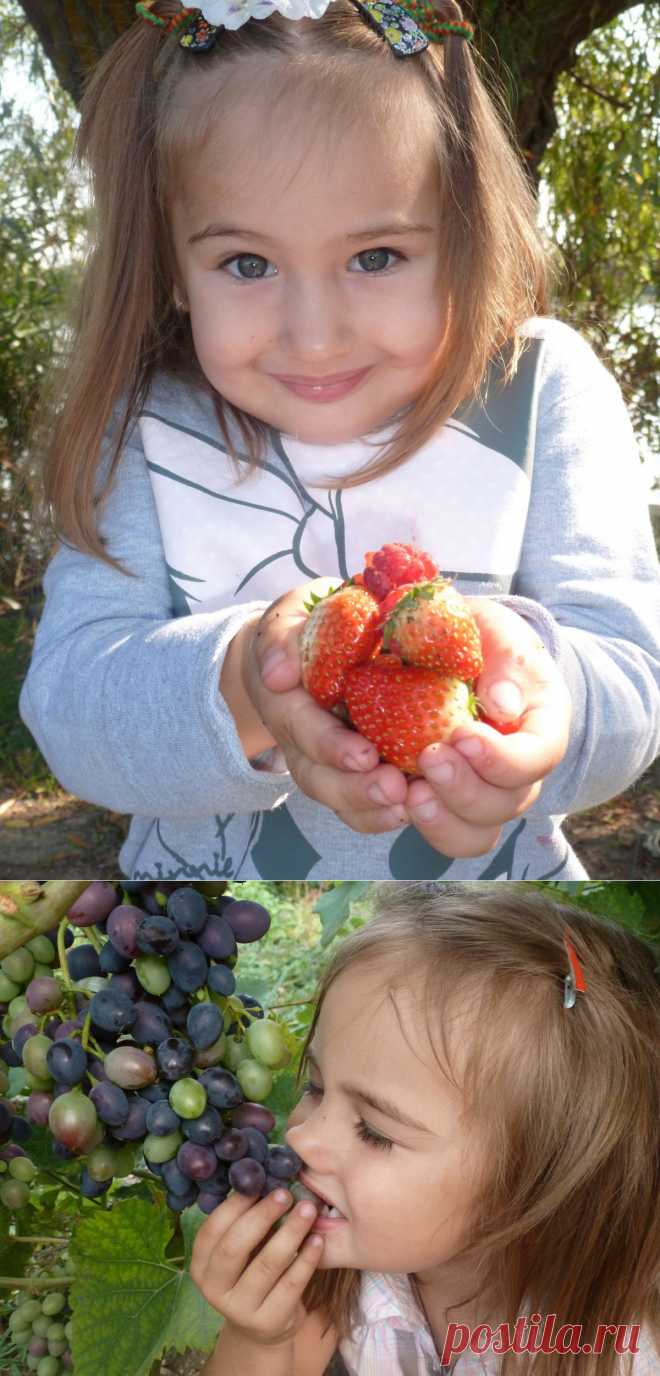 Как хорошо летом на даче! Как много интересного и какой увлекательный мир открывают здесь для себя маленькие сорванцы! Зелень, солнце, море эмоций и ягоды..! Здесь растёт малина, а вот виноград, а вооон там клубничка… а вот и красная смородина, а чуть дальше-чёрная.Объедение! В поисках сокровенной ягодки-малинки будет поднят каждый листочек, будет обследована каждая веточка.