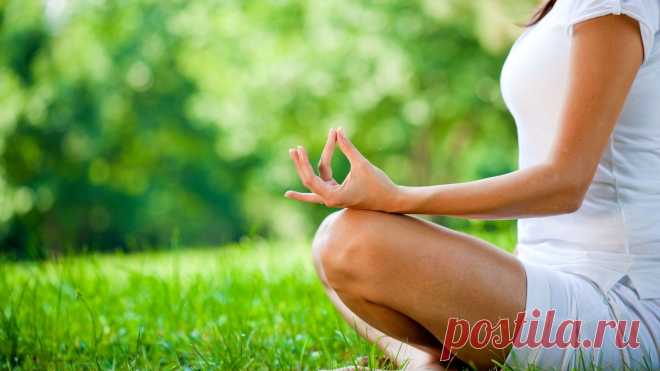 Представьте себе, что у вас есть скаковая лошадь стоимостью в один миллион долларов. Как вы будете с ней обращаться? Чем будете ее кормить? Вы будете давать ей водку с лимонным соком, картофель-фри с майонезом или шоколадный мусс на десерт? Вы будете поить ее пивом вместо воды и давать на обед мороженое со сливками вместо овса? Вы научите ее курить и поставите в стойло телевизор? Конечно же, нет. Но почему многие люди поступают так с собой?