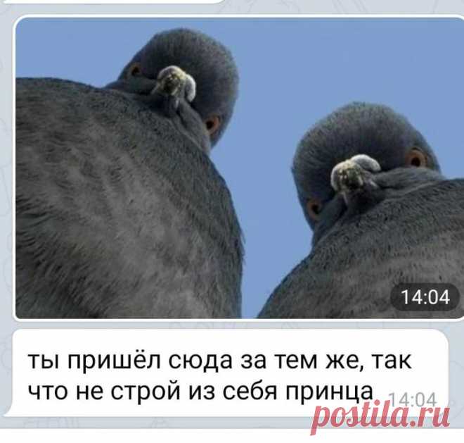 «Нищебродам просьба не беспокоить. Ищу топ-менеджера с квартирой в центре». Женщины высмеяли мужчин в Тиндере - Кликабол. Всё самое интересное - здесь - медиаплатформа МирТесен
