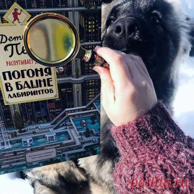 В директе вы много спрашивали о том, когда появится новый тираж книги "Детектив Пьер распутывает дело. Погоня в замке лабиринтов". И вуаля! Книга снова в продаже! По ссылке можно полистать и оформить заказ. А пока почитайте отзыв от @yuliya_spring: "Детектив Пьер распутывает дело. Погоня в Башне лабиринтов. Книга от 6 и старше, но признаюсь, я сама не всегда нахожу с первого раза!! И это очень круто! Потому что, а) с первого раза не пройдёшь всю книгу и не выкинешь ее в дальний…