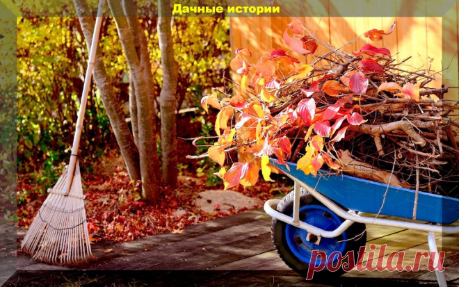 Как правильно ухаживать за садом осенью? Хитрости, которые помогут получить небывалый урожай плодов и ягод | Дачные истории | Дзен