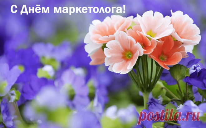 Маркетолог, ты вкусы покупателей изучаешь,
Спрос на товары поднимаешь,
В труде твоем нужна фантазия, сноровка,
Чтобы осуществлять продажи ловко.