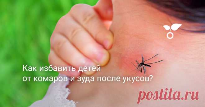 Комары – распространенная проблема у любого дачника. Насекомые мешают работать на участке. Они также способны полностью испортить загородный отдых с семьей!