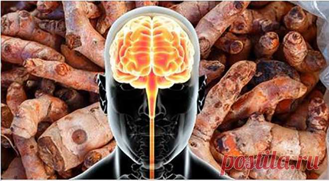 Вот как ваш мозг физически изменяется, когда вы потребляете целую куркуму! Просто фантастика! Куркума считается чудесной специей, положительное воздействие которой на организм подкрепляется более чем 600 льготами для здоровья.