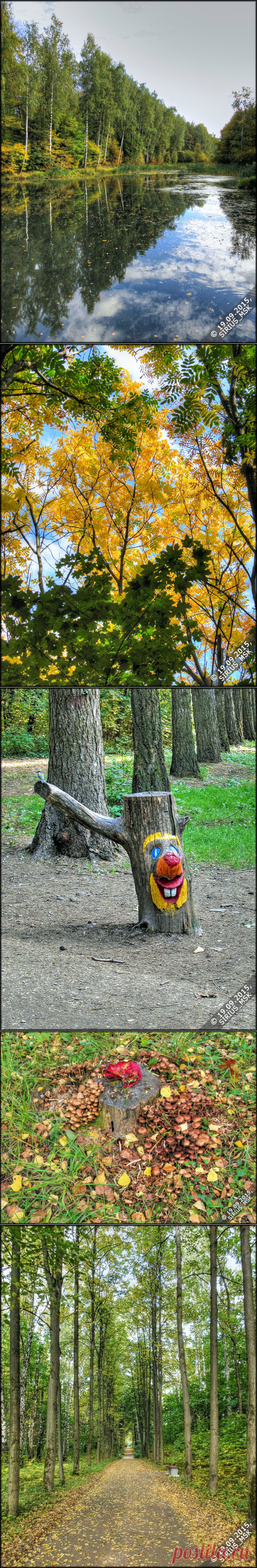 Фото (HDR+TM) :: 19.09.2015 г., ч. 1. :: Бирюлёвский дендропарк (ПИП «Царицыно») - дендрарий. - 11 Февраля 2016 - Авторский фотосайт Sirius_MSK
