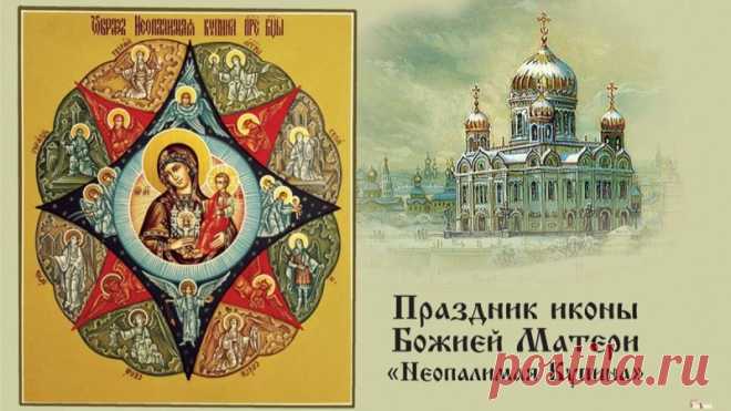 Икона изображает Богородицу с младенцем Иисусом на руках, стоящую на огнеподобном терновом кусте, который не сгорает.