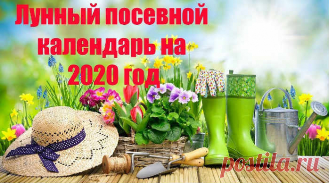 Лунный посевной календарь на 2020 год для огородника, таблицы Лунный календарь для садоводов и огородников на 2020 год. Благоприятные дни для посадок, рассады, работы на участке, влияние фаз луны и знаков Зодиака.