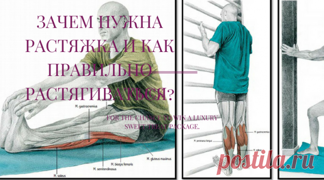 ЗАЧЕМ НУЖНА РАСТЯЖКА И КАК ПРАВИЛЬНО РАСТЯГИВАТЬСЯ? Не советуем вам пренебрегать растяжкой! Недостаток гибкости провоцирует различные заболевания позвоночника, хронические головные боли, артриты, нарушения осанки и утрату мышечного тонуса, быструю усталость, ограничивает вашу амплитуду движений. Поэтому не ленитесь и растягивайтесь на здоровье!