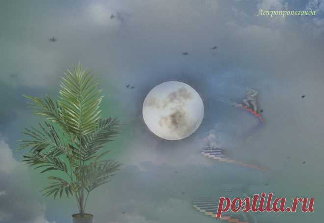 14 октября 2019. Символы и магия, приметы и сны, талисманы дня | Астропропаганда | Яндекс Дзен
✨ Автор: астролог Нина Стрелкова. ✧ Магия, сны и гадания. 14 октября 2019. День связан с очищением, обновлением, открытием тайн и сохранением равновесия. Это день стремления ввысь и погружения в глубины, это день Неба и Земли. По народному славянскому календарю этот день являлся границей между осенью и зимой. В старые времена в это время уже мог выпасть первый снег...