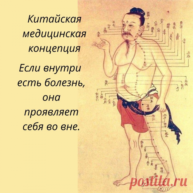 СВОДИТ СУДОРОГОЙ НОГИ? Проверьте печень!
Снаружи и внутри
#Су_Джок #Ангелина_Пасхалиди #Судорога
Китайская медицинская концепция отличается от западной. Для китайской медицины важна выполняемая органом функция, а не его внешний вид, например, сердце – это не только само сердце. Любая выполняемая им функция тоже считается сердцем. В этом состоит основное отличие.
К примеру, ощущения – это ключевая идея китайской медицины. В западной медицинской традиции они считаются нераци...