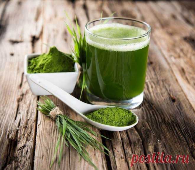 2 ΡΠ°ΠΌΡΡ
 ΠΌΠΎΡΠ½ΡΡ
 ΠΈ ΠΏΠΈΡΠ°ΡΠ΅Π»ΡΠ½ΡΡ
 ΠΏΡΠΎΠ΄ΡΠΊΡΠ° Π½Π° ΠΠ΅ΠΌΠ»Π΅! ΠΠ²Π° ΠΏΡΠΎΠ΄ΡΠΊΡΠ°, ΠΎ ΠΊΠΎΡΠΎΡΡΡ
 Π²Π°ΠΆΠ½ΠΎ Π·Π½Π°ΡΡ ΠΊΠ°ΠΆΠ΄ΠΎΠΌΡ ΠΈΠ· Π½Π°Ρ.ΠΠ½Π°Π΅ΡΠ΅, Π² ΠΊΠ°ΠΊΠΈΡ
 Π΄Π²ΡΡ
 ΠΏΡΠΎΠ΄ΡΠΊΡΠ°Ρ
 ΡΠΎΠ΄Π΅ΡΠΆΠΈΡΡΡ Π±ΠΎΠ»Π΅Π΅ 650 Π²ΠΈΡΠ°ΠΌΠΈΠ½ΠΎΠ², ΠΌΠΈΠΊΡΠΎΡΠ»Π΅ΠΌΠ΅Π½ΡΠΎΠ², Π°ΠΌΠΈΠ½ΠΎΠΊΠΈΡΠ»ΠΎΡ? Π₯Π»ΠΎΡΠ΅Π»Π»Π° ΠΈ ΡΠΏΠΈΡΡΠ»ΠΈΠ½Π° β ΡΡΠΎ ΠΌΠΈΠΊΡΠΎΠ²ΠΎΠ΄ΠΎΡΠΎΡΠ»ΠΈ, ΠΊΠΎΡΠΎΡΡΠ΅ ΡΡΡΠ΅ΡΡΠ²ΡΡΡ Π½Π° ΠΠ΅ΠΌΠ»Π΅ Π±ΠΎΠ»Π΅Π΅ 4 ΠΌΠ»ΡΠ΄. Π»Π΅Ρ.ΠΠ· ΠΊΠ»Π΅ΡΠΊΠΈ Ρ
Π»ΠΎΡΠ΅Π»Π»Ρ ΠΏΡΠΎΠΈΠ·ΠΎΡΠ»ΠΈ Π²ΡΠ΅ ΡΠ°ΡΡΠ΅Π½ΠΈΡ Π½Π° ΠΠ΅ΠΌΠ»Π΅, Π° ΠΈΠ· ΠΊΠ»Π΅ΡΠΊΠΈ ΡΠΏΠΈΡΡΠ»ΠΈΠ½Ρ β ΠΎΡΠ³Π°Π½ΠΈΡΠ΅ΡΠΊΠΈΠ΅ Π²Π΅ΡΠ΅ΡΡΠ²Π°, ΠΊΠΎΡΠΎΡΡΠ΅ ΡΡΠ°Π»ΠΈ ΠΏΠΈΡΠ΅ΠΉ Π΄Π»Ρ ΠΆΠΈΠ²ΠΎΡΠ½ΡΡ
, ΠΏΠΎΠΌΠΎΠ³Π°Ρ ΡΠ°Π·Π²ΠΈΠ²Π°ΡΡ Π²Π΅ΡΡ ΠΆΠΈΠ²ΠΎΡΠ½ΡΠΉ ΠΌΠΈΡ. ΠΡΠ΅Π³ΠΎ Π΄Π²Π° ΠΎΠ±ΡΡΠ½ΡΡ
, ΠΏΡΠΎΡΡΡΡ
 .