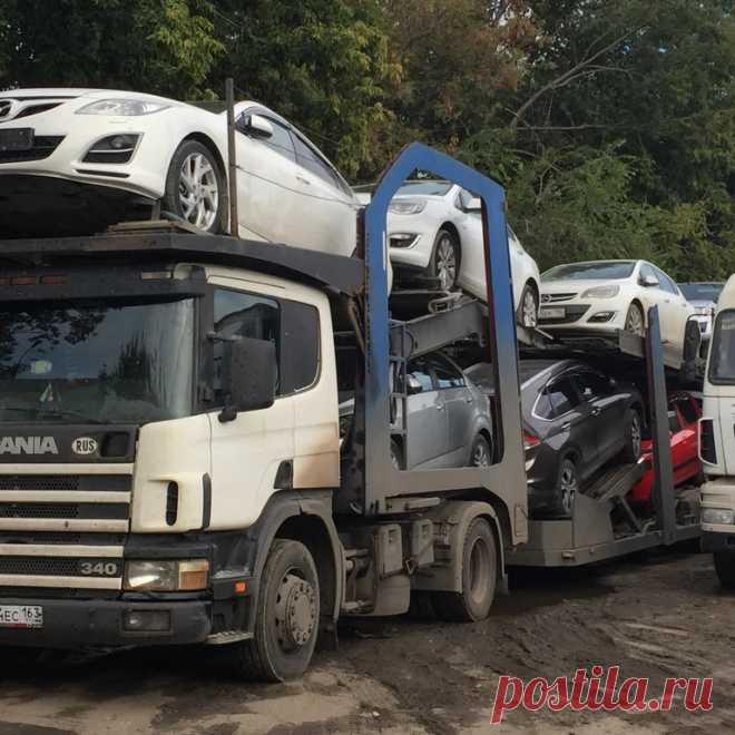 🚍 Транспортная компания по перевозке грузов и автомобилей
👀 Большой опыт 💨 Оперативная доставка 💝 Приятные цены
📆 Работаем круглосуточно, без выходных 📞 +7(495)988-79-95